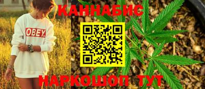 МДПВ Новозыбков