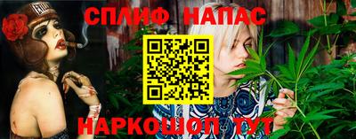МДПВ Новозыбков
