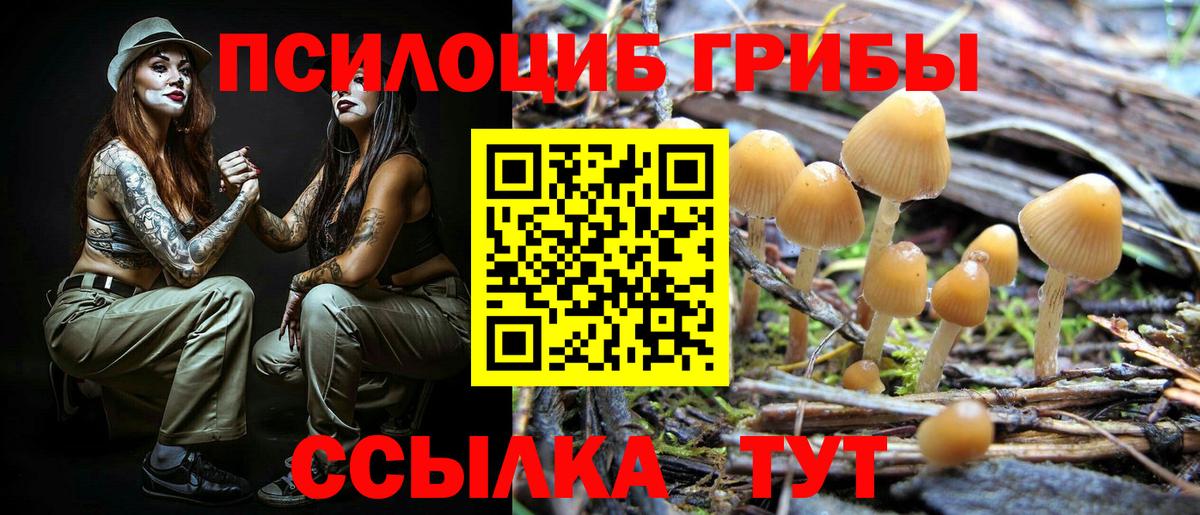 Псилоцибиновые грибы мухоморы Ростов Великий