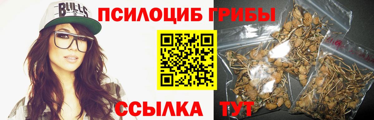 Галлюциногенные грибы Magic Shrooms  Вход с VPN  купить   Ростов Великий  Галлюциногенные грибы мухоморы 